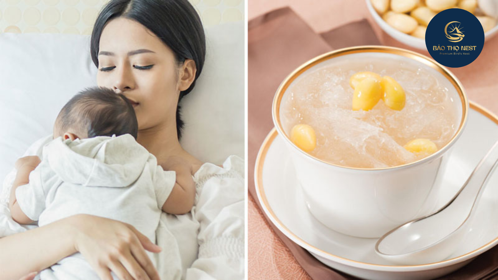 Yến Sào Nha Trang - Bảo Thọ Nest